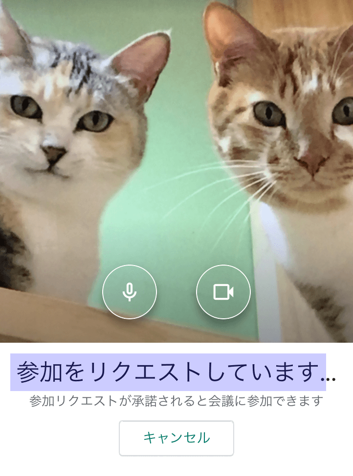リクエスト承認待ち